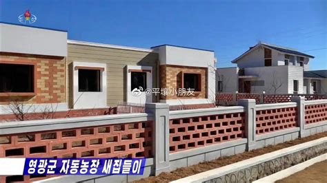 朝鲜新建农村住宅围栏 仙人掌品種